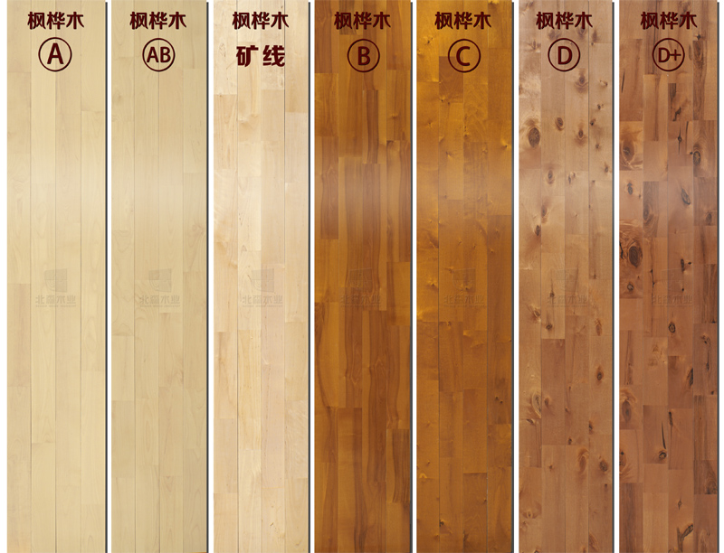 �ȼ�����