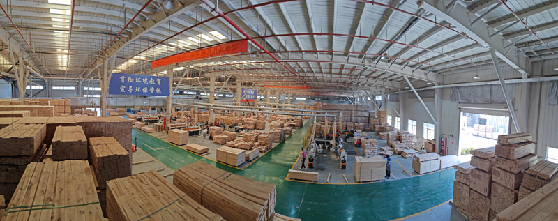 ���չ���