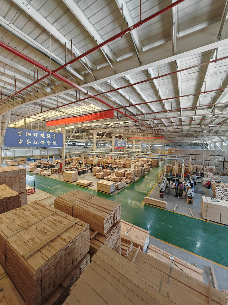 ���չ���